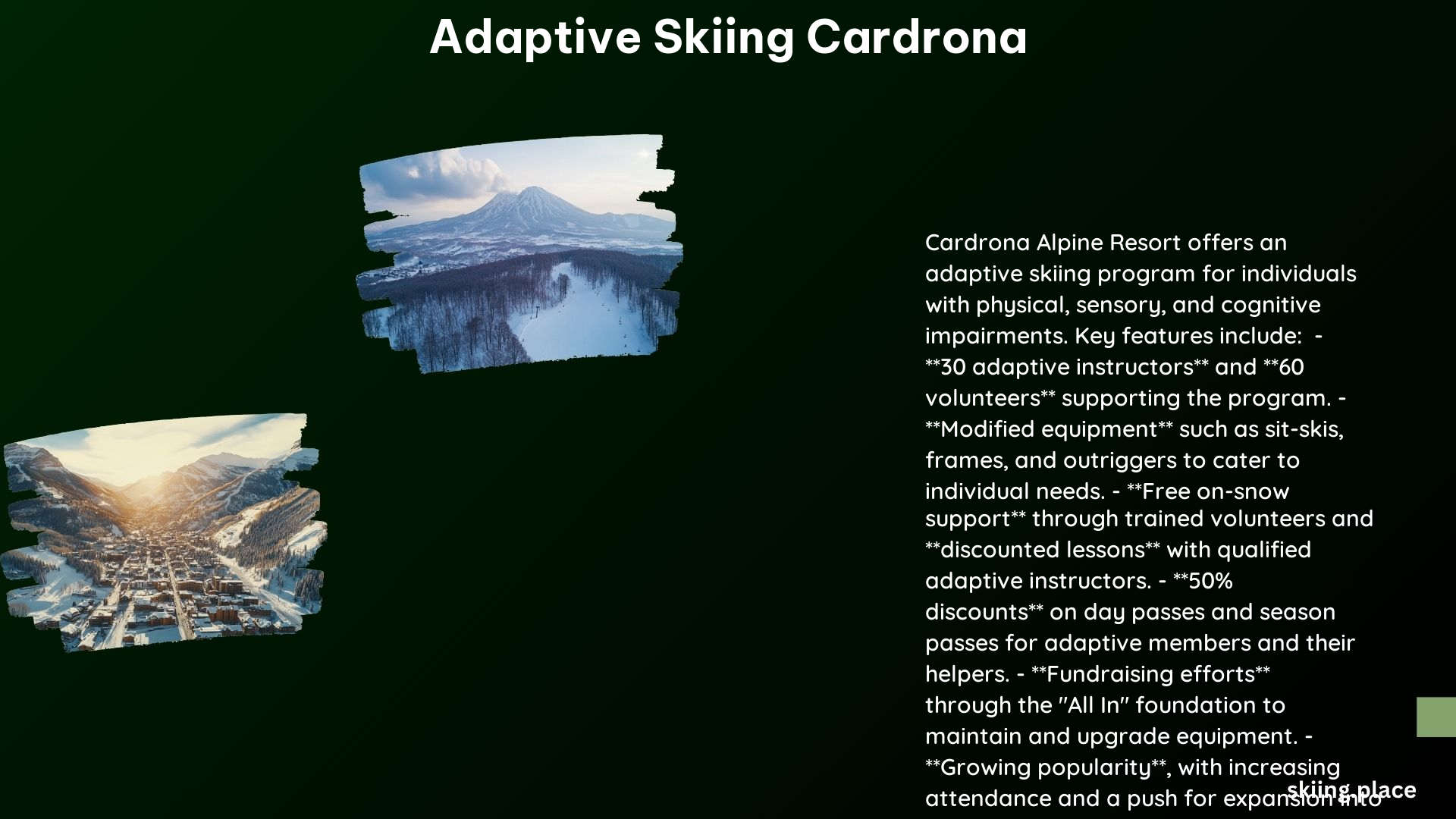 Adaptive Skiing Cardrona