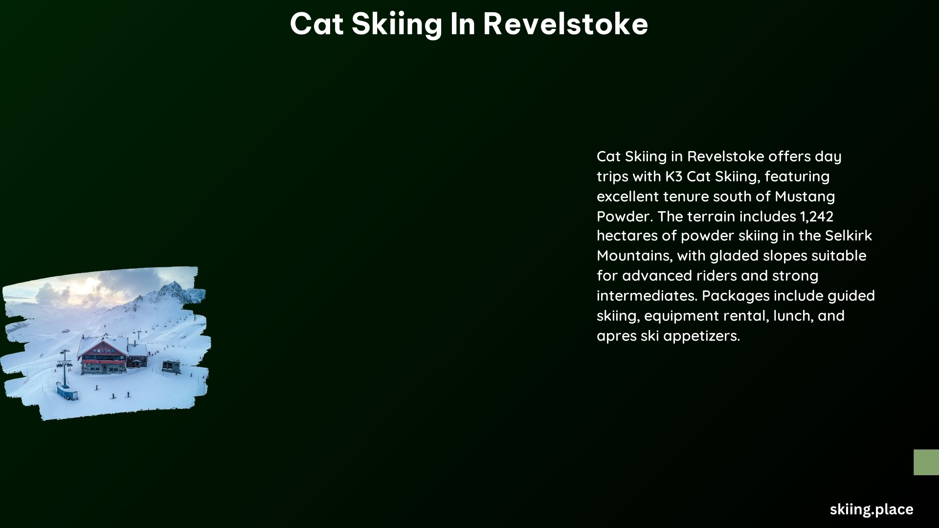 Cat Skiing in Revelstoke