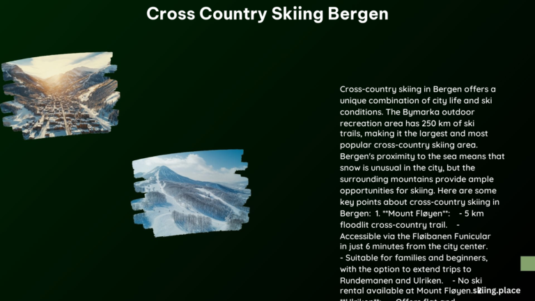 Cross Country Skiing Bergen