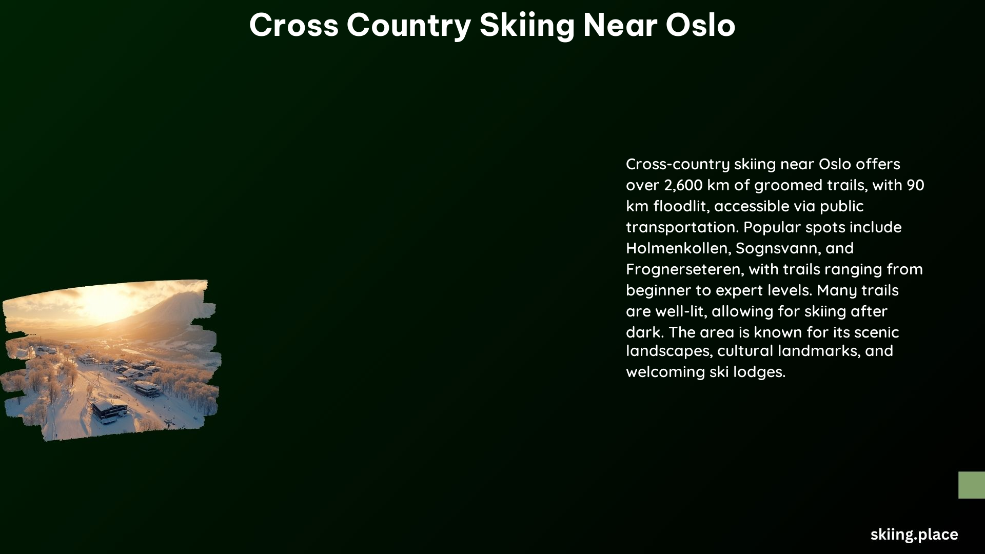 Cross Country Skiing Near Oslo