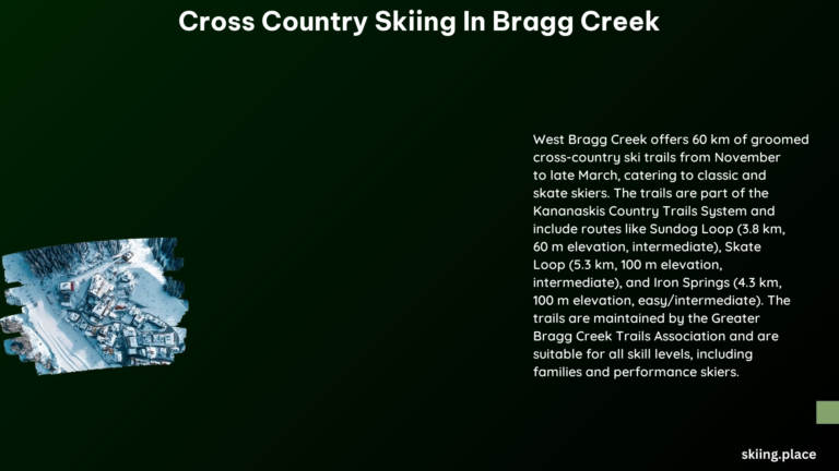 Cross Country Skiing in Bragg Creek