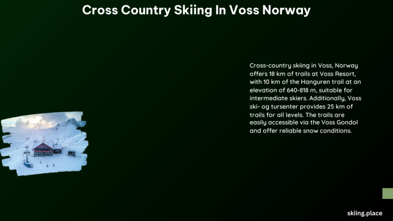 Cross Country Skiing in Voss Norway