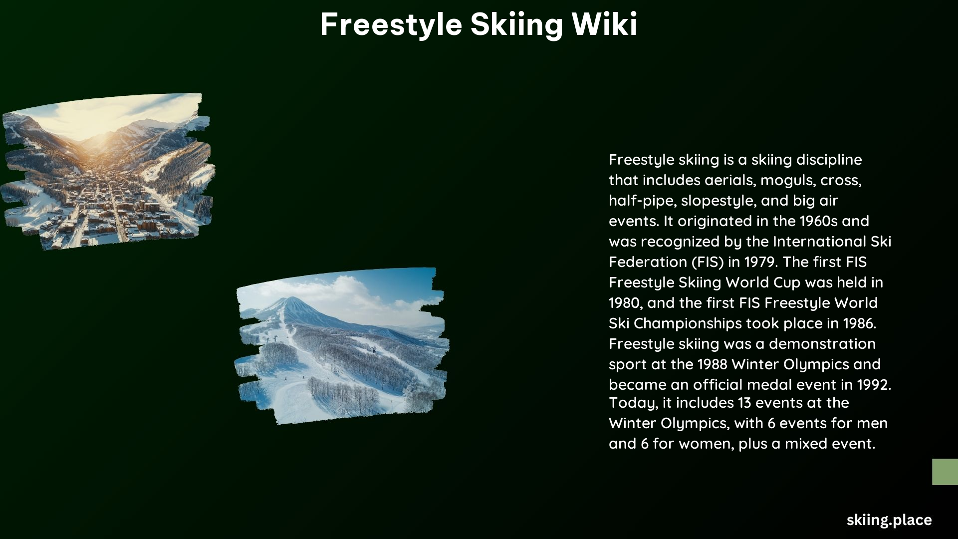 Freestyle Skiing Wiki